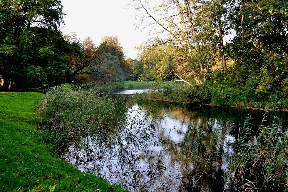 Gutspark Kartzitz, © Tourismuszentrale Rügen