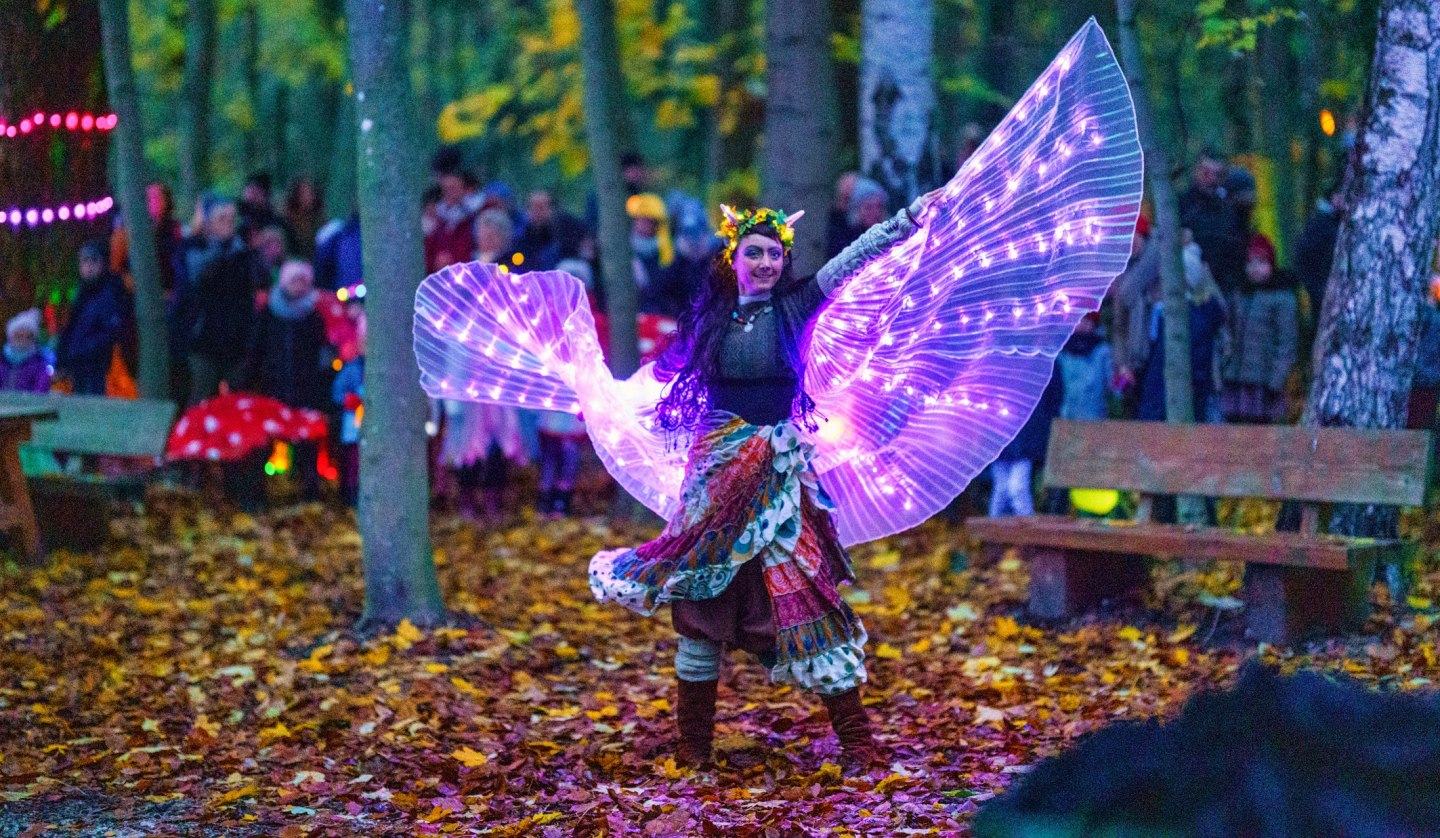 Fee beim Lichterfest im BÄRENWALD Müritz, © BÄRENWALD Müritz