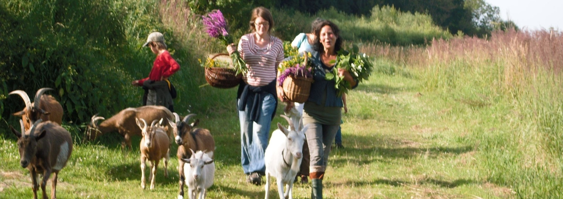 Kräuterwanderung mit Ziegen, © Kräuterhof Carlsthal