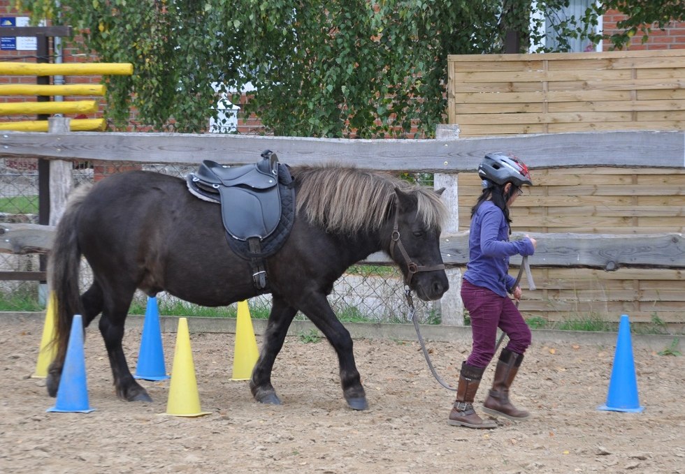 Kinder können viel von und mit Pferden lernen, © Antje Kopplow