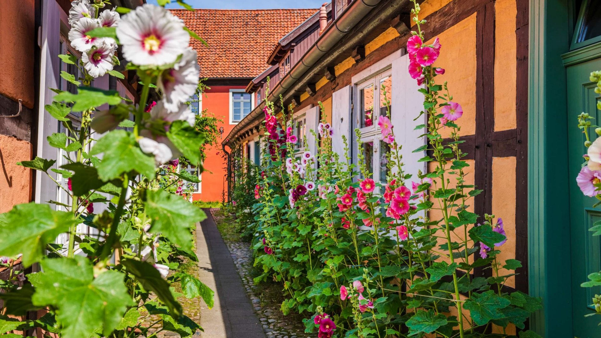 Und romantisch obendrein. Das moderne Stadtleben ist im Stralsunder Heilgeistkloster nur eine ferne Erinnerung., © TMV/Tiemann