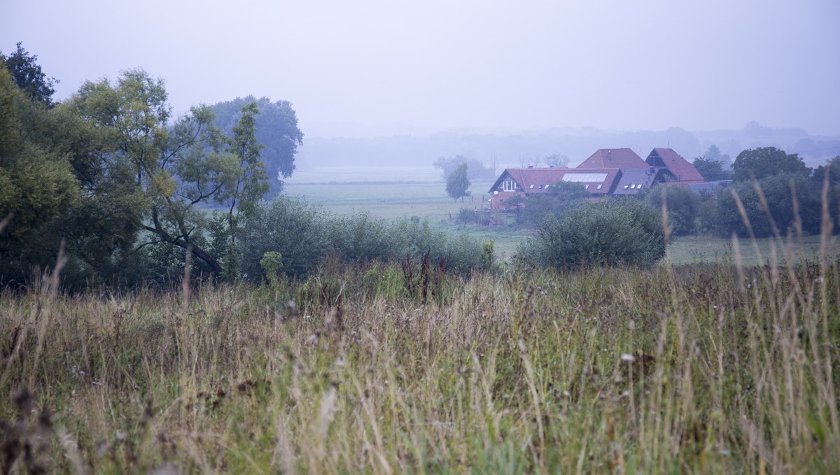 Blick auf den Projekthof von Schlakendorf aus, © Sarah Sandring