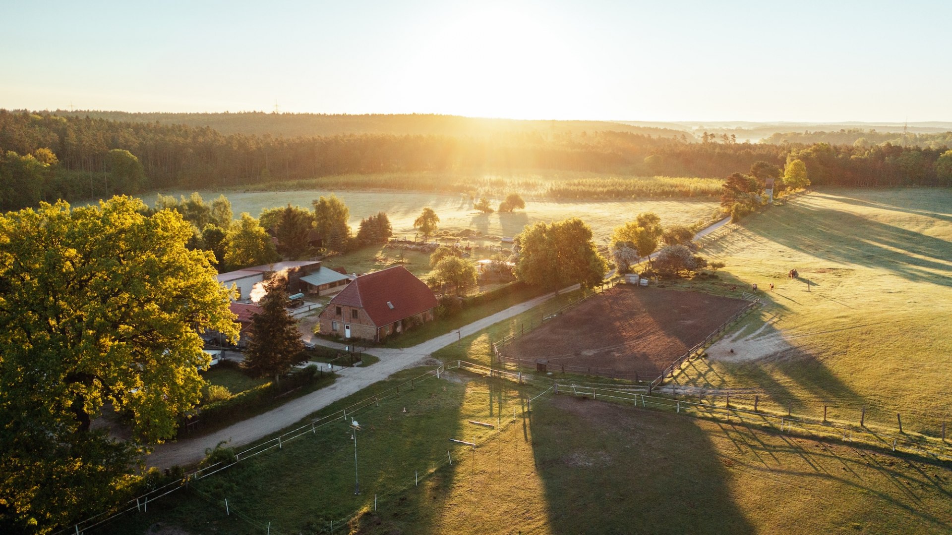 Nichts als Natur: Der Waldhof Bruchmühle liegt zwischen Wiesen, Wäldern und Seen., © TMV/Gänsicke