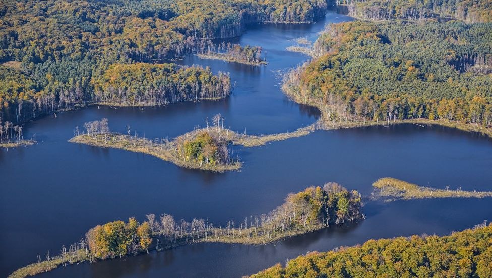 Der Blick über den Schweingartensee zeigt Vielfalt und Dynamik der Lebensräume im Müritz-Nationalpark, © TMV/Grundner