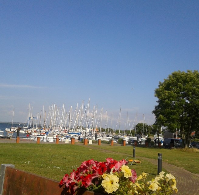 Ausblick auf den Hafen von Barhöft, © Caroline Bahrdt