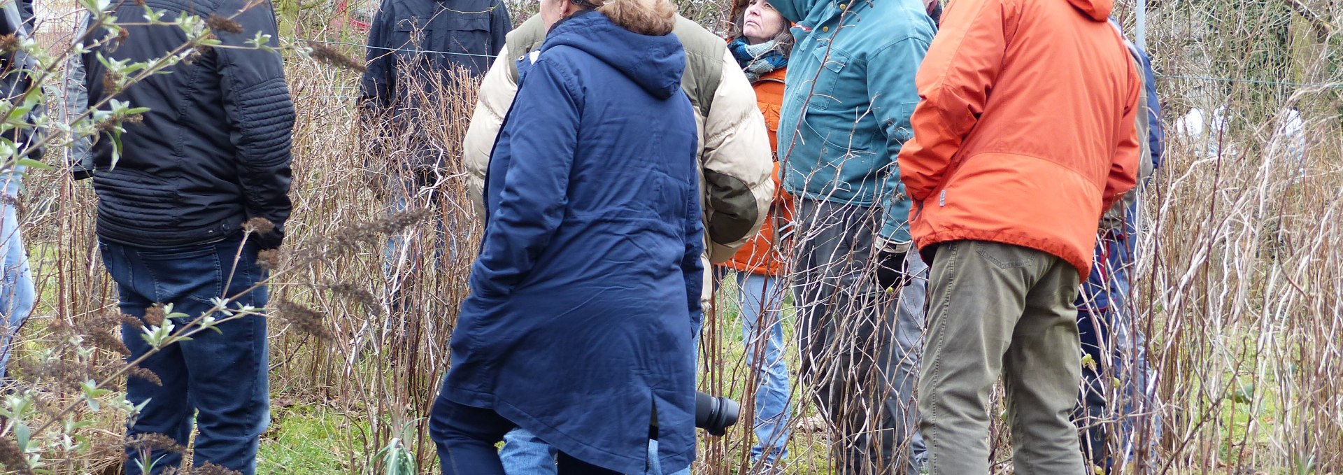 Obstschnittseminar, © Naturpark Sternberger Seenland