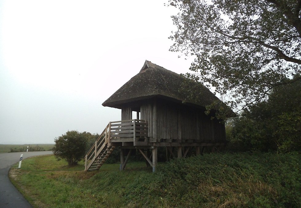 Vogelbeobachtungsplattform Tankow auf der Insel Ummanz, © Tourismuszentrale Rügen