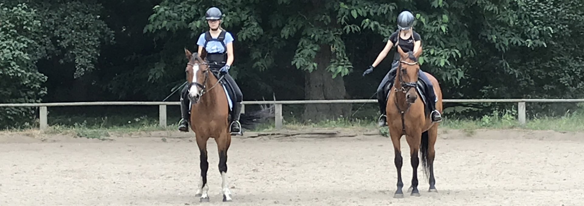 Dressurtraining auf dem Platz in Daugzin, © Karoline Görs