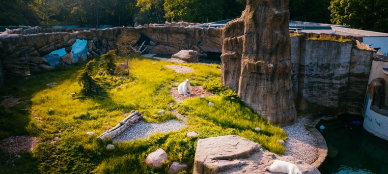 Das Polarium im Rostocker Zoo erinnert ein bisschen an die Hudson Bay in Kanada, wo viele Eisbären zuhause sind.
, © TMV/Friedrich