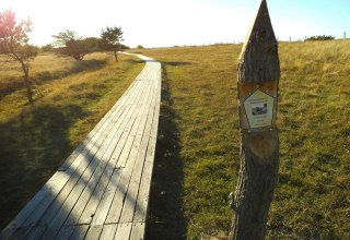 Naturschutzgebiet Nordwestufer Wittow und Kreptitzer Heide, © Tourismuszentrale Rügen