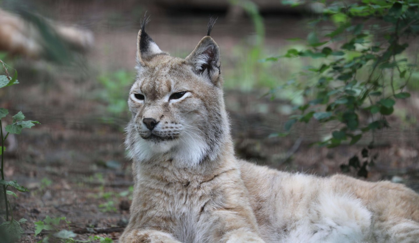 Mikroabenteuer, © Zoo Rostock/Brandt