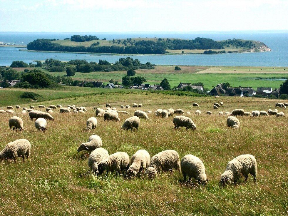 Blick vom Bakenberg zur Insel Vilm, © Tourismuszentrale Rügen