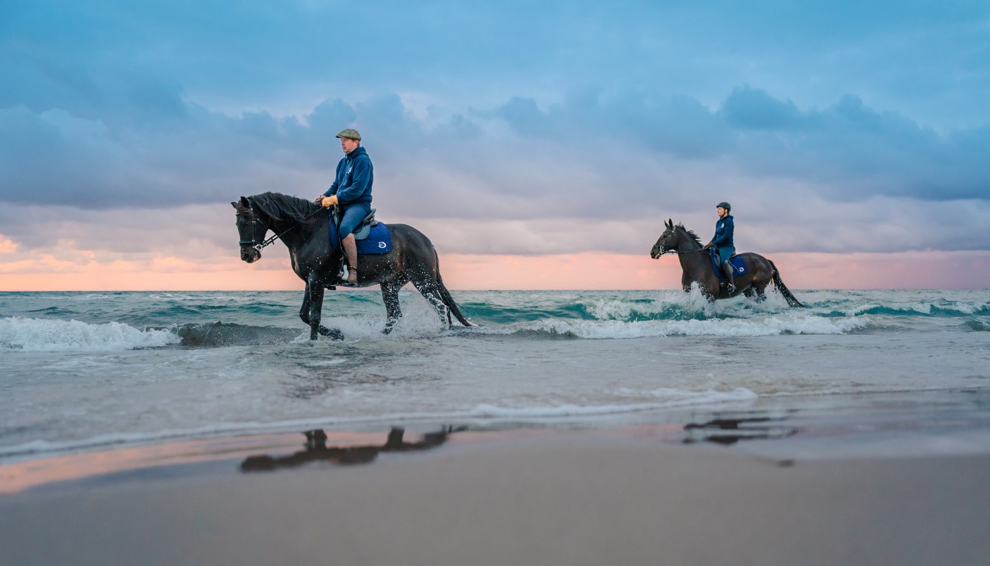 Strandreiten zum Sonnenuntergang an der Ostsee auf der Halbinsel Fischland-Darß-Zingst, © TMV/Tiemann