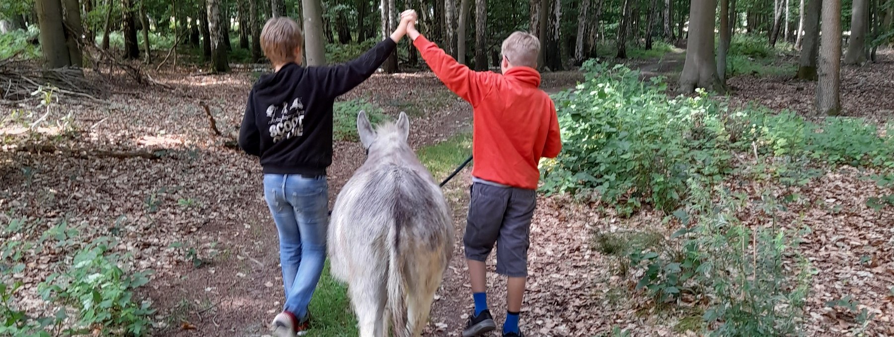 Ein Spaziergang im gemütlichen Esel- Tempo kann ein tolles Erlebnis für die ganze Familie sein. Esel sind besonnene und feinfühlige Tiere, die gerne mit menschlicher Begleitung auf Wanderschaft gehen., © Andrea Hauser