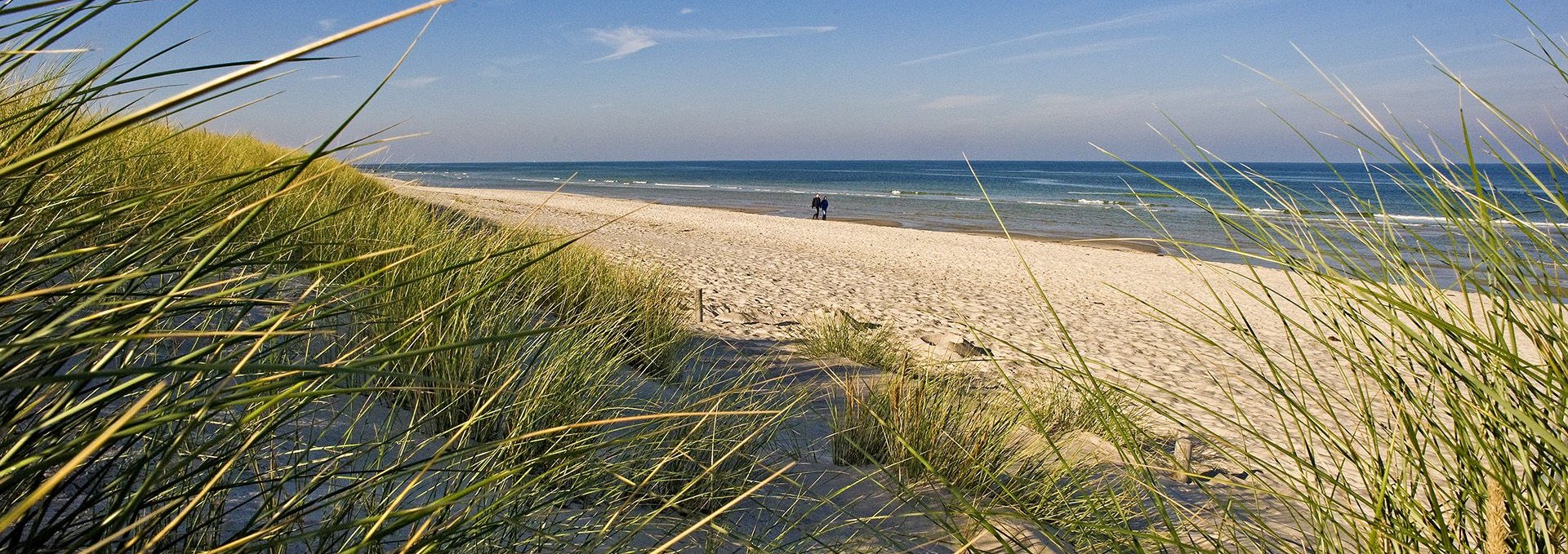 Blick auf den Prerow Strand, © ginkgomare