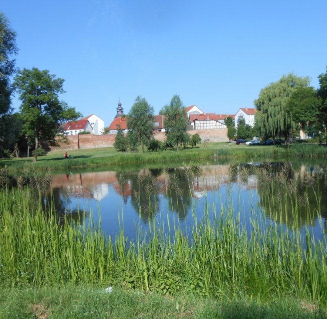 Die grüne Oase von Malchin (Stadtansicht vom Park aus), © Monika Kröger