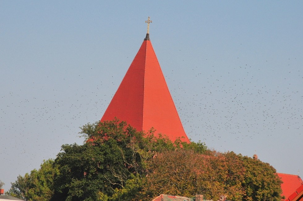 Evangelische Kirche St. Michael in Sagard, © Tourismuszentrale Rügen