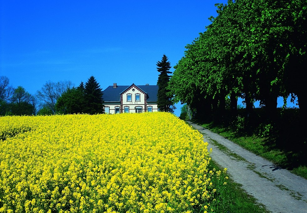 Einhusen, kleinstes Dorf der Insel, © Kurverwaltung Insel Poel / Markus Frick