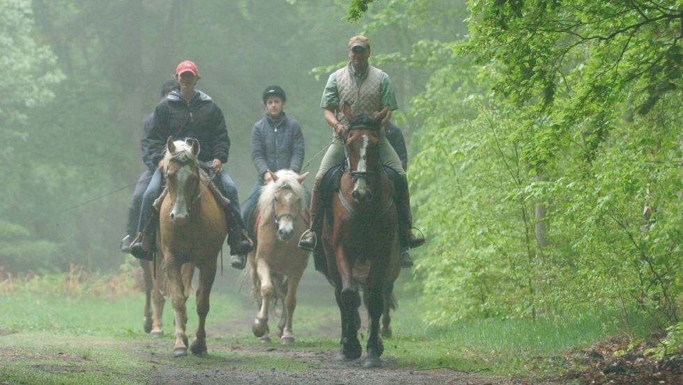 Ob Schritt, Trab oder Galopp- auf 60 km Reit- und Fahrwegen in der Rostocker Heide ist alles möglich., © Reitstall Stuthof