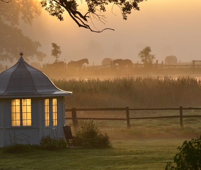 Impression der Morgenstimmung im Mecklenburger ParkLand, © Mecklenburger ParkLand/Feriengut Dalwitz