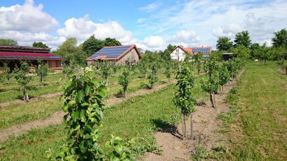 Das weitläufige Gelände lädt zum Schlendern ein, © Archiv, Biosphärenreservatsamt Schaalsee-Elbe