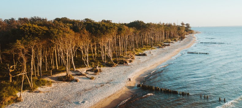 Das Ostseeheilbad Graal-Müritz liegt schön eingebettet zwischen ausgedehnten Sandstränden, kilometerlangen Küstenwäldern und der Rostocker Heide., © TMV/Friedrich